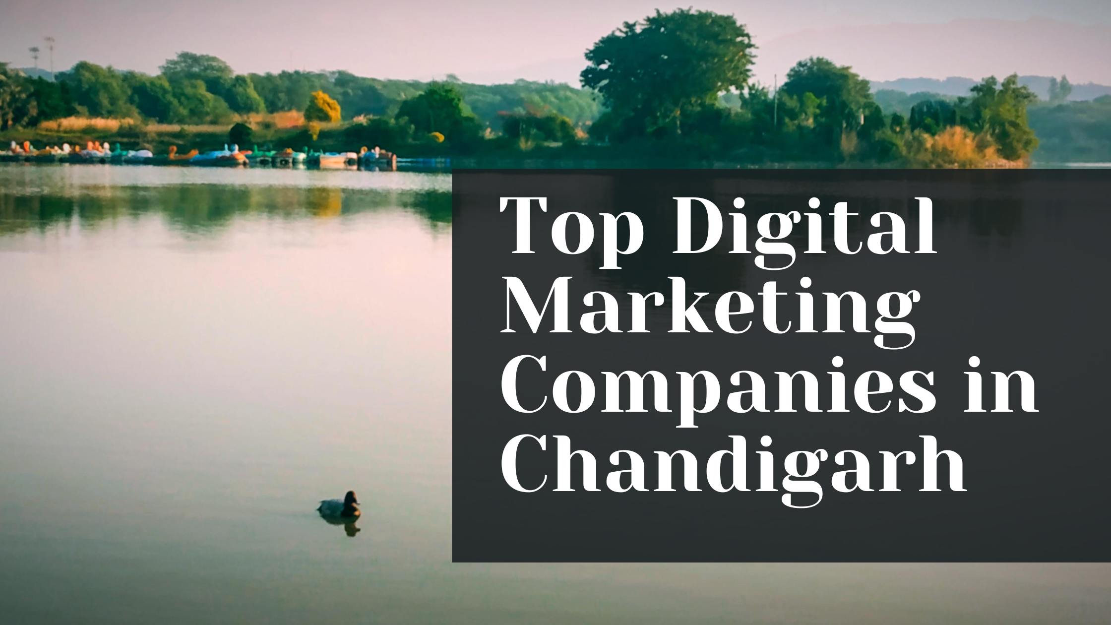 15 Most Affordable Digital Marketing Companies in Chandigarh 2025 Budget-Friendly SEO and PPC Experts