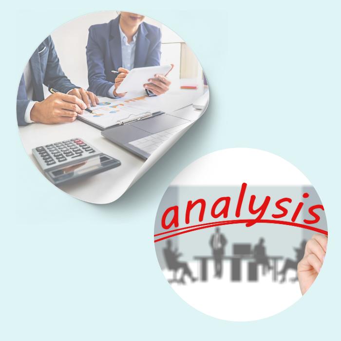 Reputation Analysis & Audit