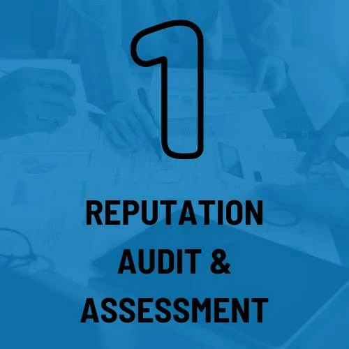 In-Depth Reputation Audit & Assessment