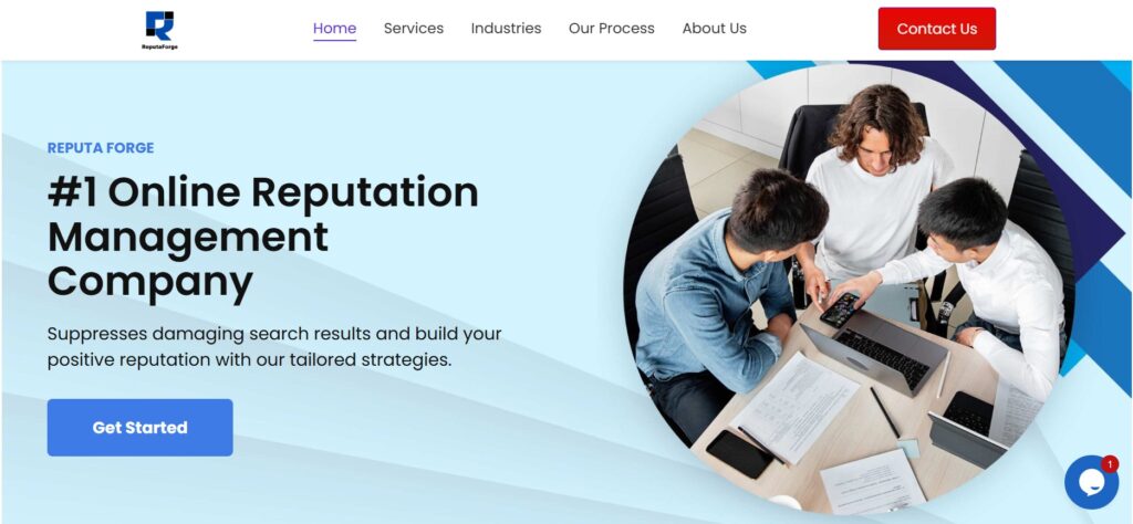 ReputaForge- Internet Reputation Management Company